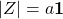 |Z|=a \mathbf 1