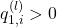 q_{1,i}^{(l)}>0