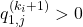 q_{1,j}^{(k_i+1)}>0